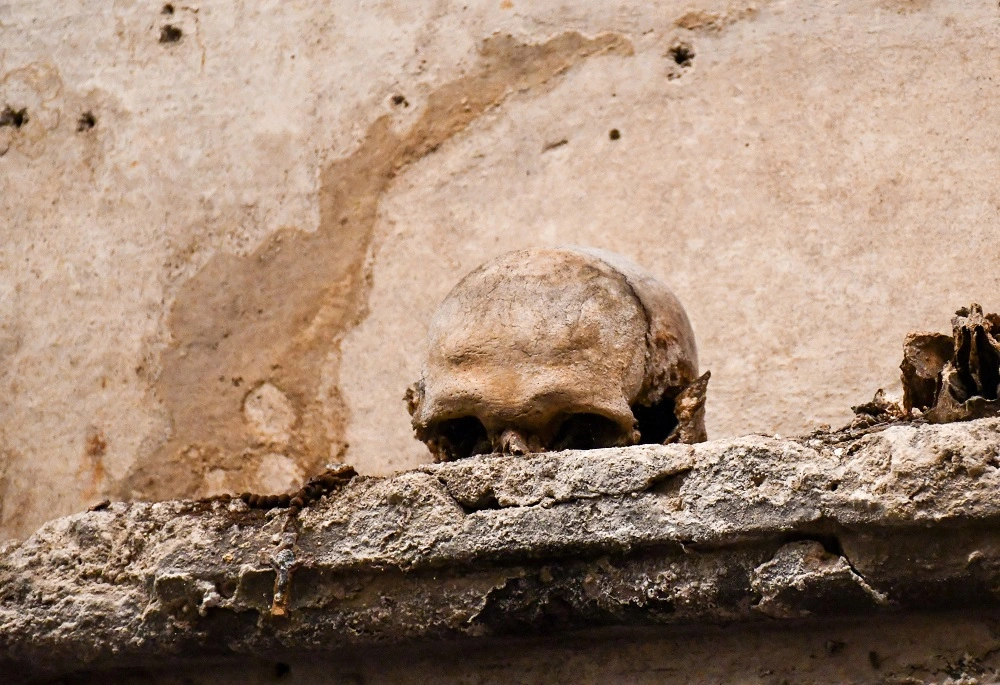 La foto che ritrae il famoso teschio con le orecchie nella Chiesa di Santa Luciella ai Librai a Napoli