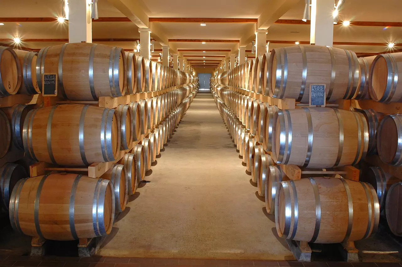 L'immagine cattura l'essenza di una cantina di Fiano di Avellino, immersa in un'atmosfera di tradizione e artigianalità.